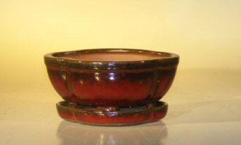 Parisian Red Ceramic Bonsai Pot with Oval Humidity Tray - Professional Series (6.37 x 4.75 x 2.625 inches) - Perfect for Indoor Plants, Succulents, and Home Decor