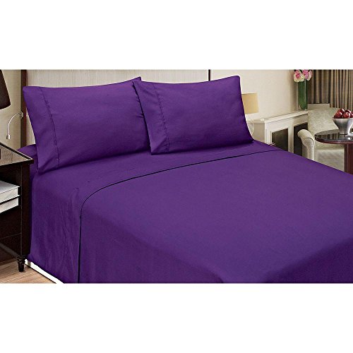 Purple Solid