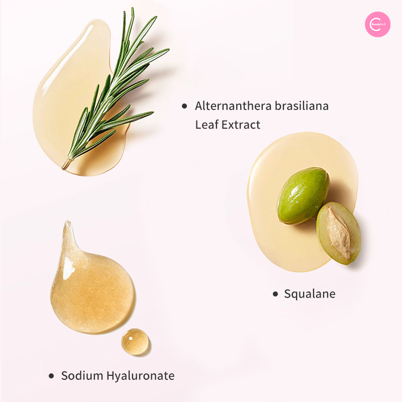 Zeesea Soft Focus Setting Balm - Oil Control & Pore Minimizing Makeup Primer for Flawless Matte Finish | Perfect for Daily Wear & Photo Shoots