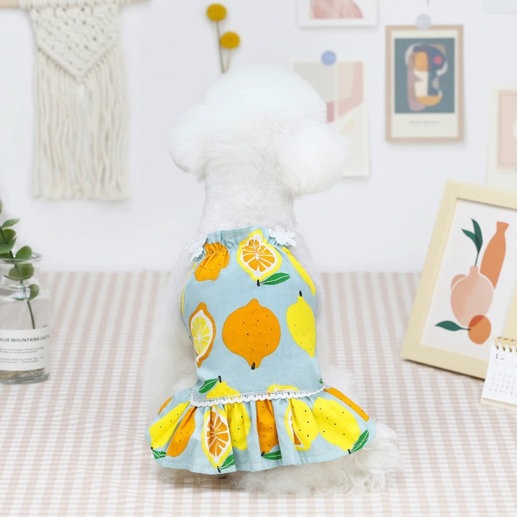 Breathable Sleeveless Lemon Print Dog Dress for Small Dogs - Summer Pet Clothes Puppy Costume for Outdoor Walks & Playtime