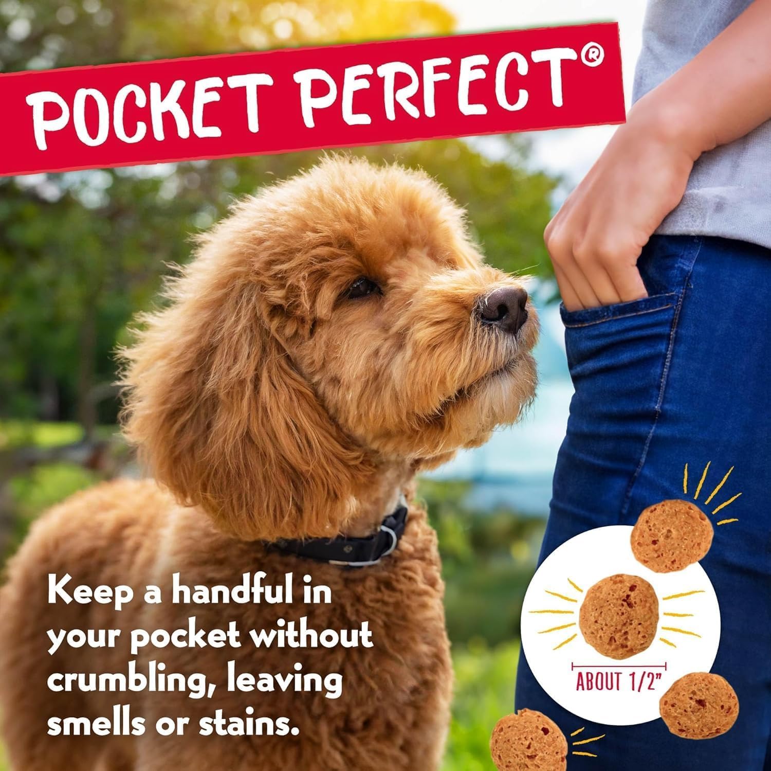 Charlee Bear Dog Training Treats for Small, Medium & Large Breeds - Crunchy Grain-Free Low Calorie Dog Snacks - Made in USA - Bacon & Blueberry Flavor (2 Pack, 8oz Each) - Perfect for Obedience Training & Positive Reinforcement