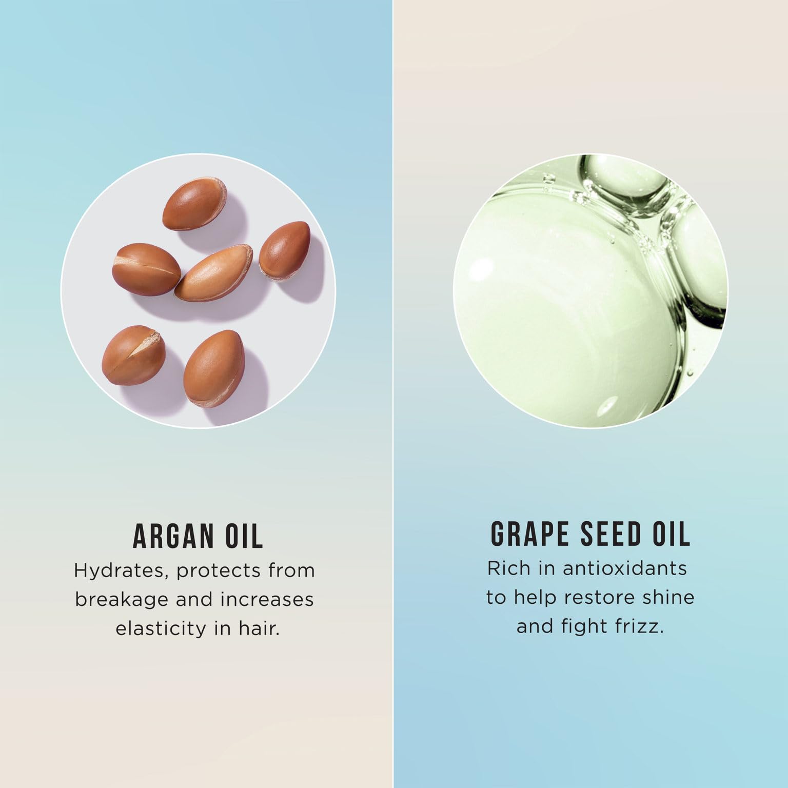 HASK Argan Oil Repairing Hair Oil 18ml - Strengthens & Restores Dry, Damaged Hair | Moroccan Argan Oil Treatment for Split Ends & Frizz | Perfect for Daily Hydration & Salon-Quality Shine