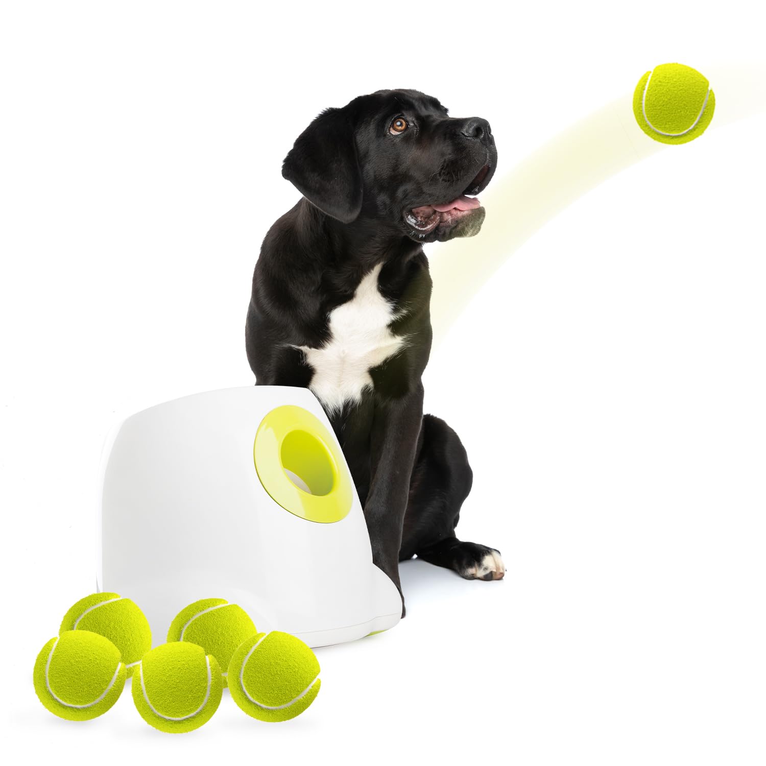 ALL FOR PAWS Automatic Dog Ball Launcher Maxi - Interactive Ball Thrower Toy for Large Dogs with 6 Tennis Balls | Perfect for Outdoor Play, Backyard Fetch, and Dog Training Exercises