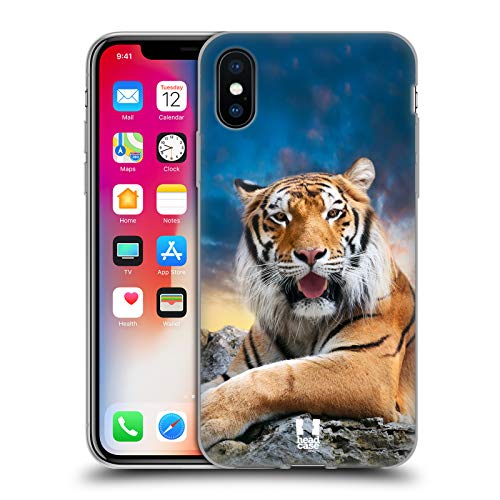 Tiger Sky Background