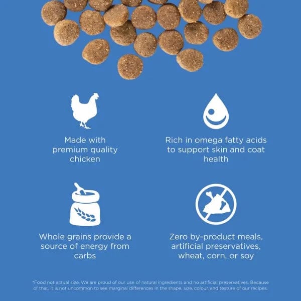 Go! Solutions Skin & Coat Care Chicken Recipe with Grains Dry Dog Food - Premium Nutrition for Healthy Skin & Shiny Coat - Perfect for Adult Dogs with Sensitive Skin or Allergies