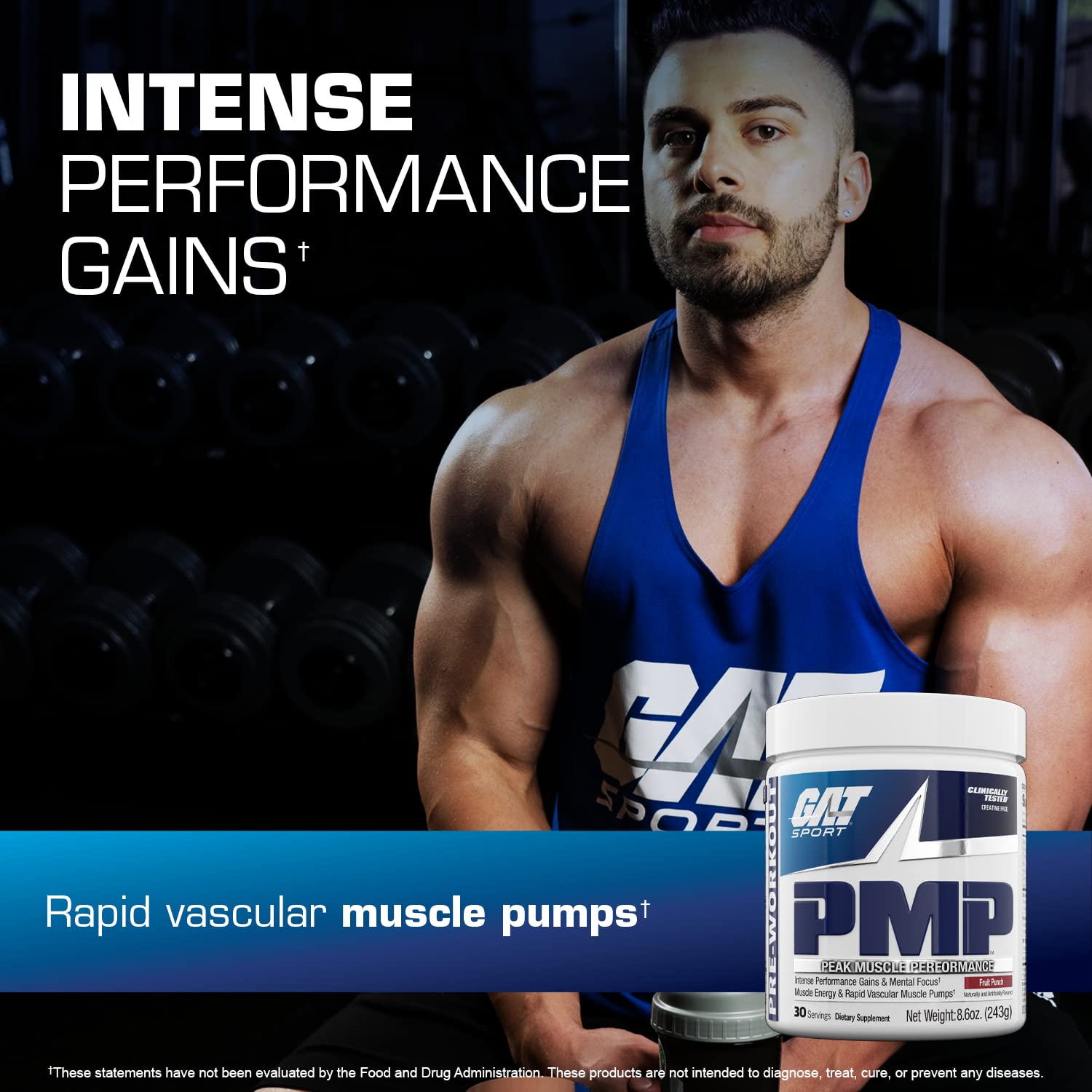 GAT SPORT PMP Peak Muscle Performance Pre-Workout Powder - 30 Servings Fruit Punch Flavor for Energy & Focus - Ideal for Gym, Bodybuilding & Fitness Training