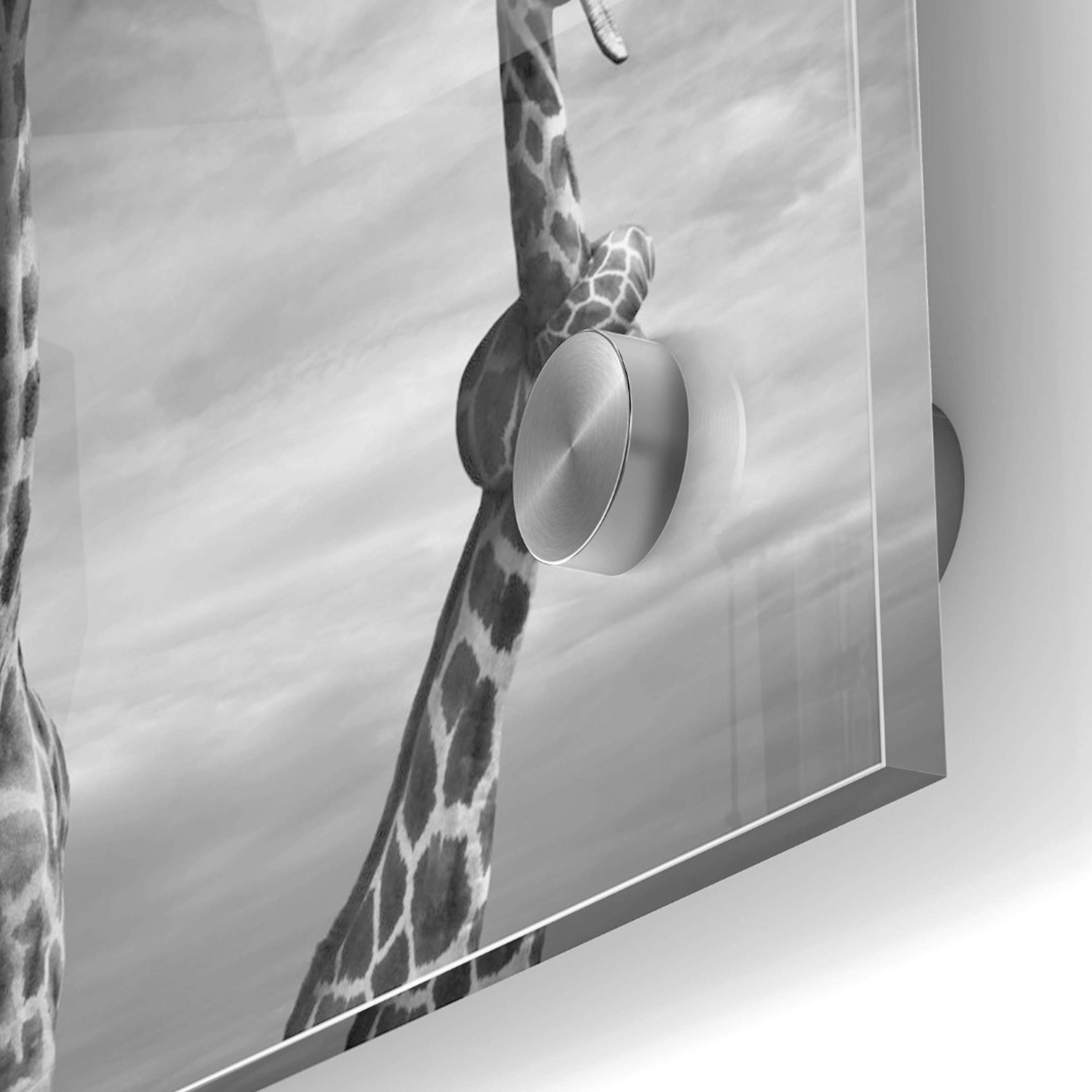 Twisted Sister Acrylic Glass Wall Art by Dariusz Klimczak - 24x24 Inch Modern Abstract Painting - Perfect for Living Room, Bedroom or Office Decor