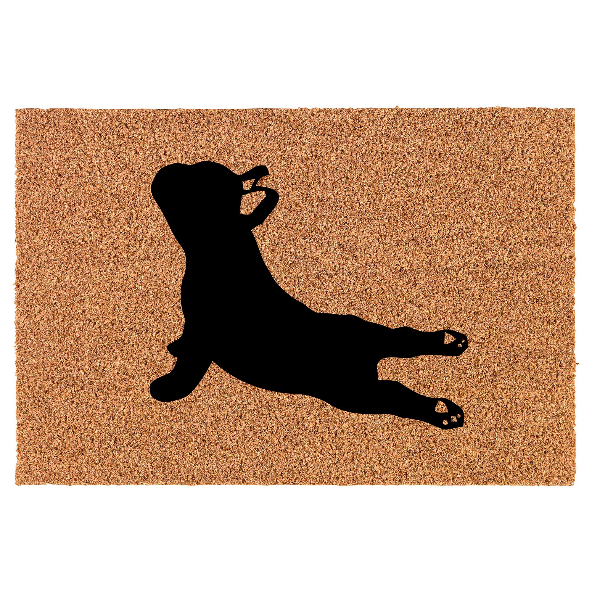 Premium Coir Doormat for Front Door - Natural Coconut Fiber Welcome Mat - Perfect Housewarming & New Home Gift (24