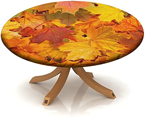 Maple Leaf -2