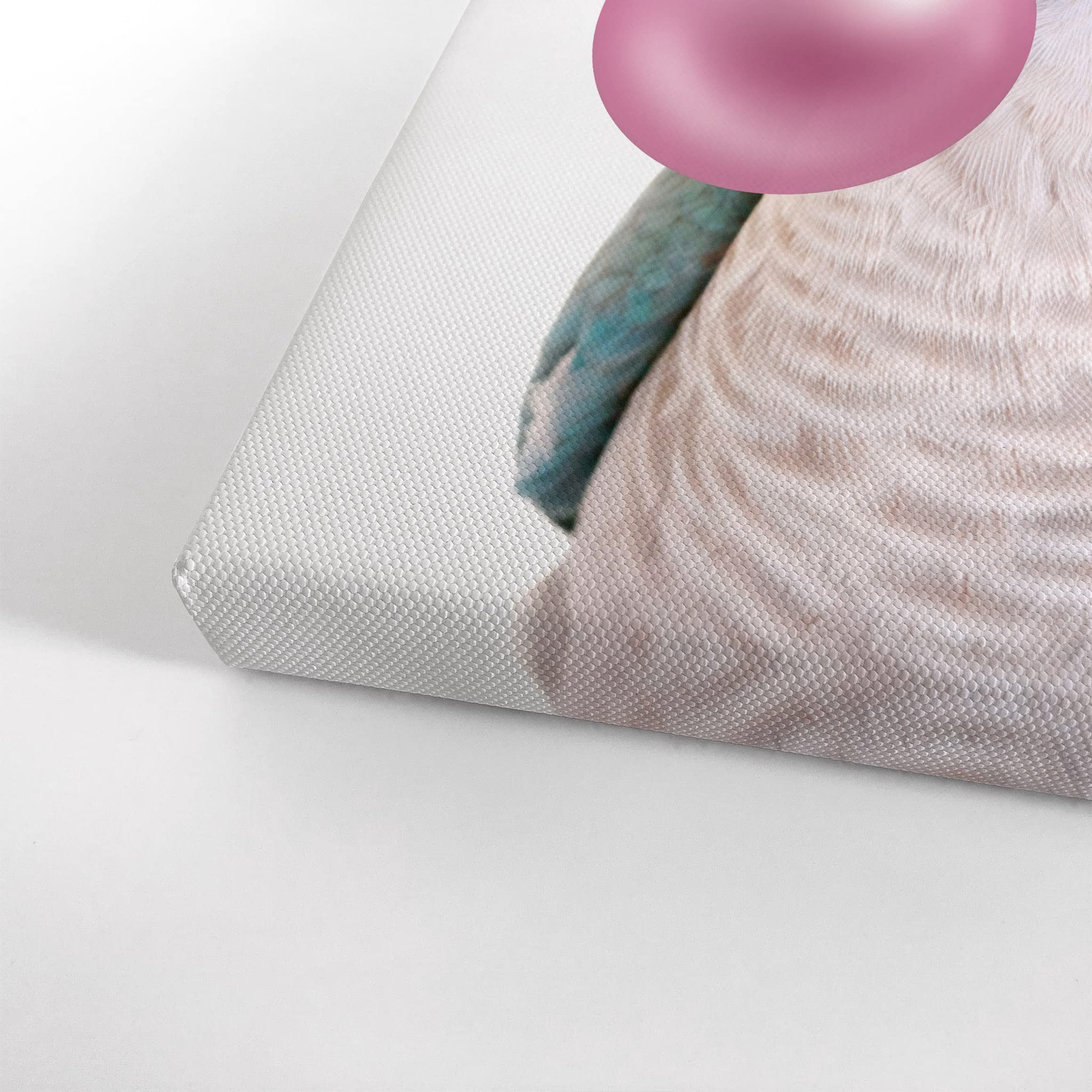 Monk Parakeet Quaker Parrot Chewing Pink Bubble Gum Canvas Wall Art Print - 36x24 Inch Pet Bird Lover Gift, Animal Pop Art Decor for Living Room, Bedroom, Nursery & Kids Room - Perfect for Bird Enthusiasts & Unique Home Decor