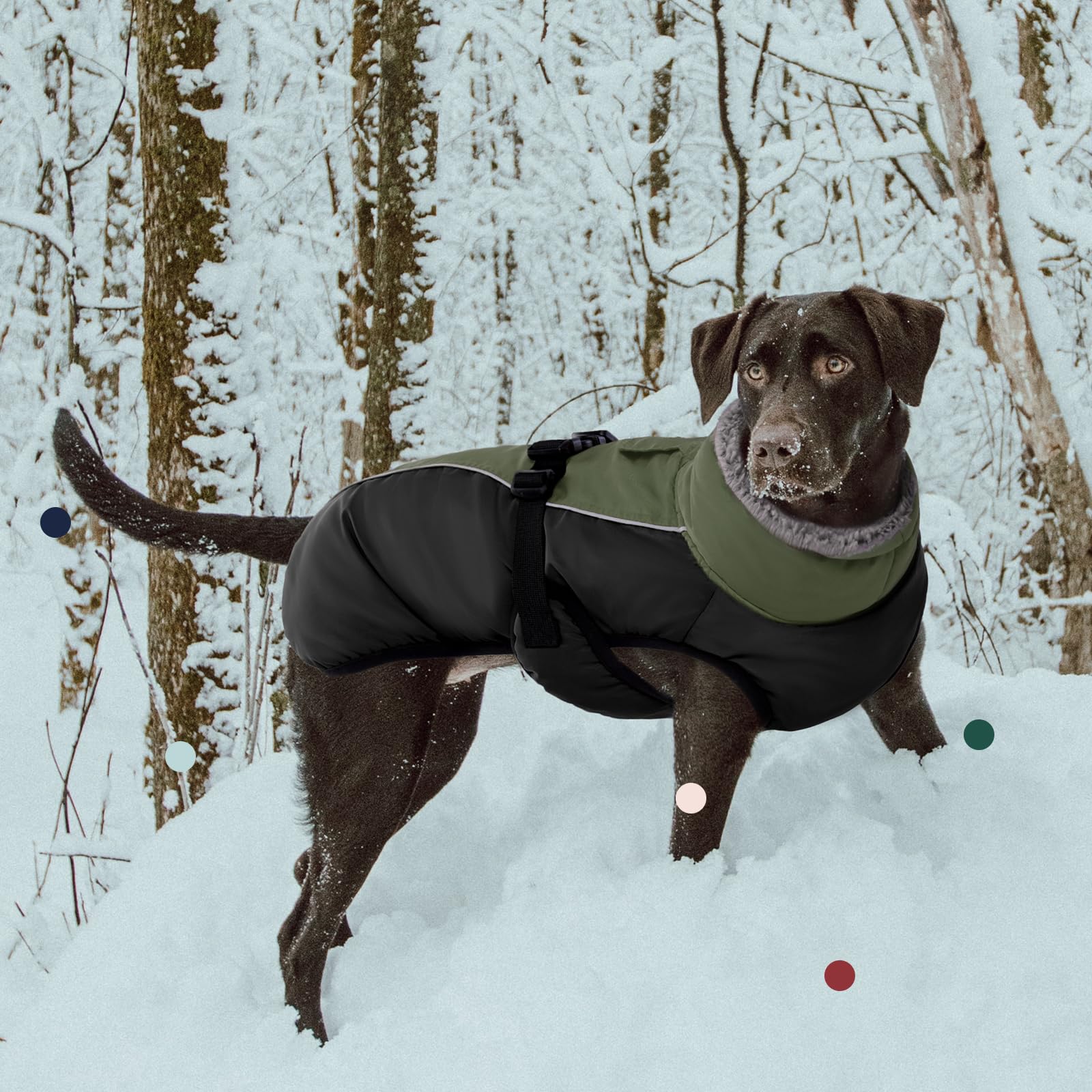 IECOii Reflective Fleece Dog Jacket - Adjustable Winter Coat with Buckle & Turtleneck for Small, Medium, Large Dogs | Extra Warm Cold Weather Protection for Outdoor Walks & Winter Adventures