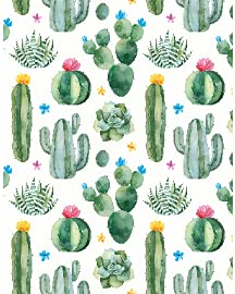 Cactus Flower Succulent