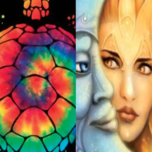 Moon Sun & Psychedelic Turtle