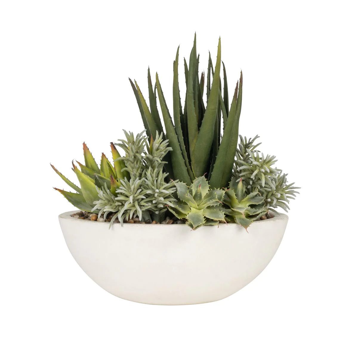 Small Oval Ceramic Bowl with Aloe & Cactus Succulent Arrangement - Perfect for Home Decor, Office Desk, and Gift Giving