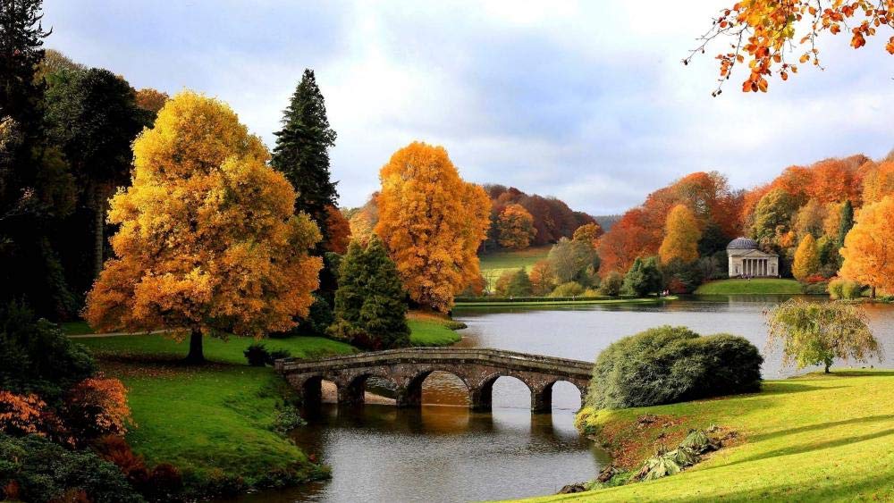 300 Piece Autumn Landscape Jigsaw Puzzle for Adults & Kids - Educational Puzzle Toy, Fun Family Activity, Birthday Gift Idea | Perfect for Relaxation, Brain Training & Home Decor