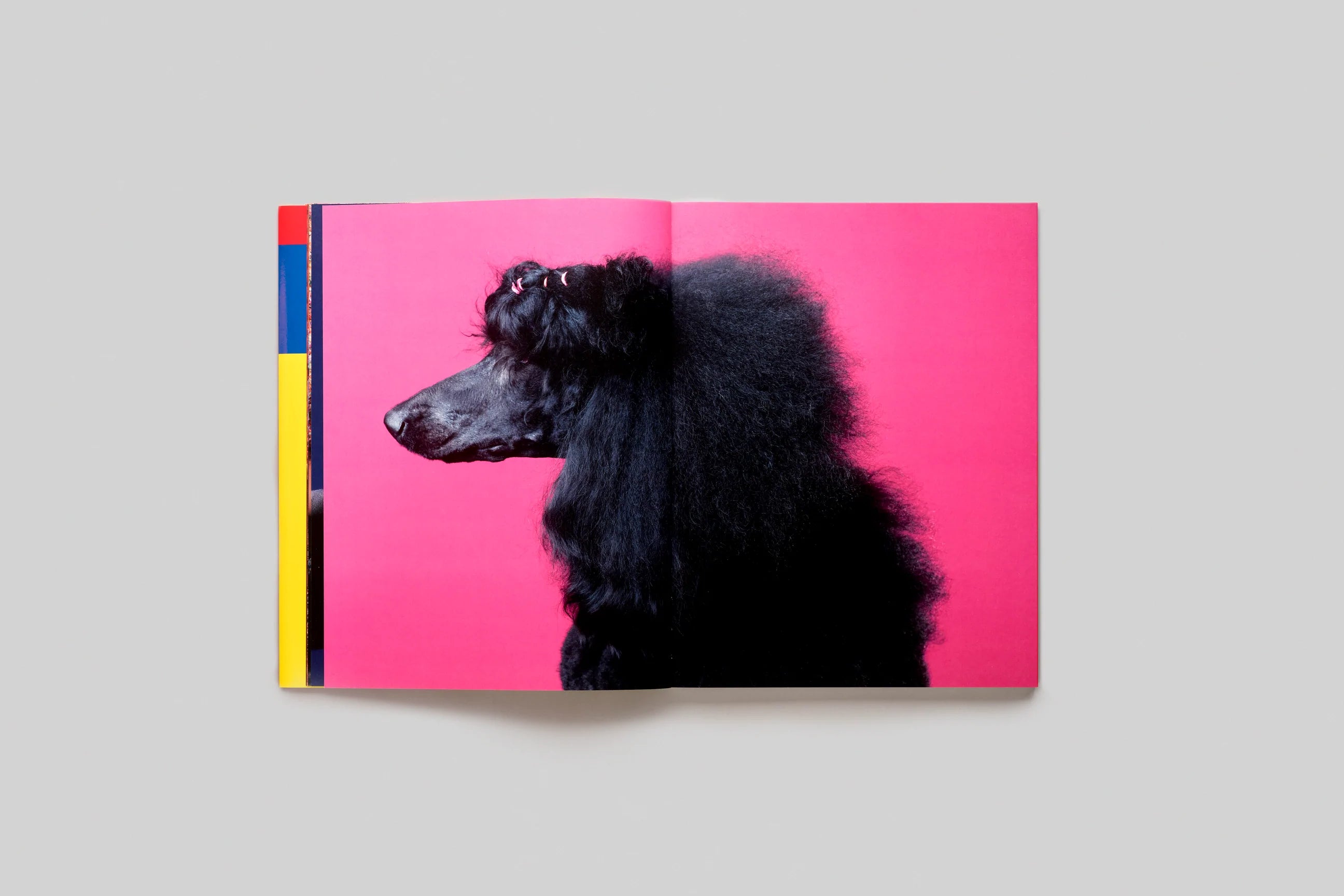 PLAY by Philippe Jarrigeon - Modern Art Book for Home Decor & Coffee Table Display | Perfect for Art Lovers, Interior Designers & Book Collectors
