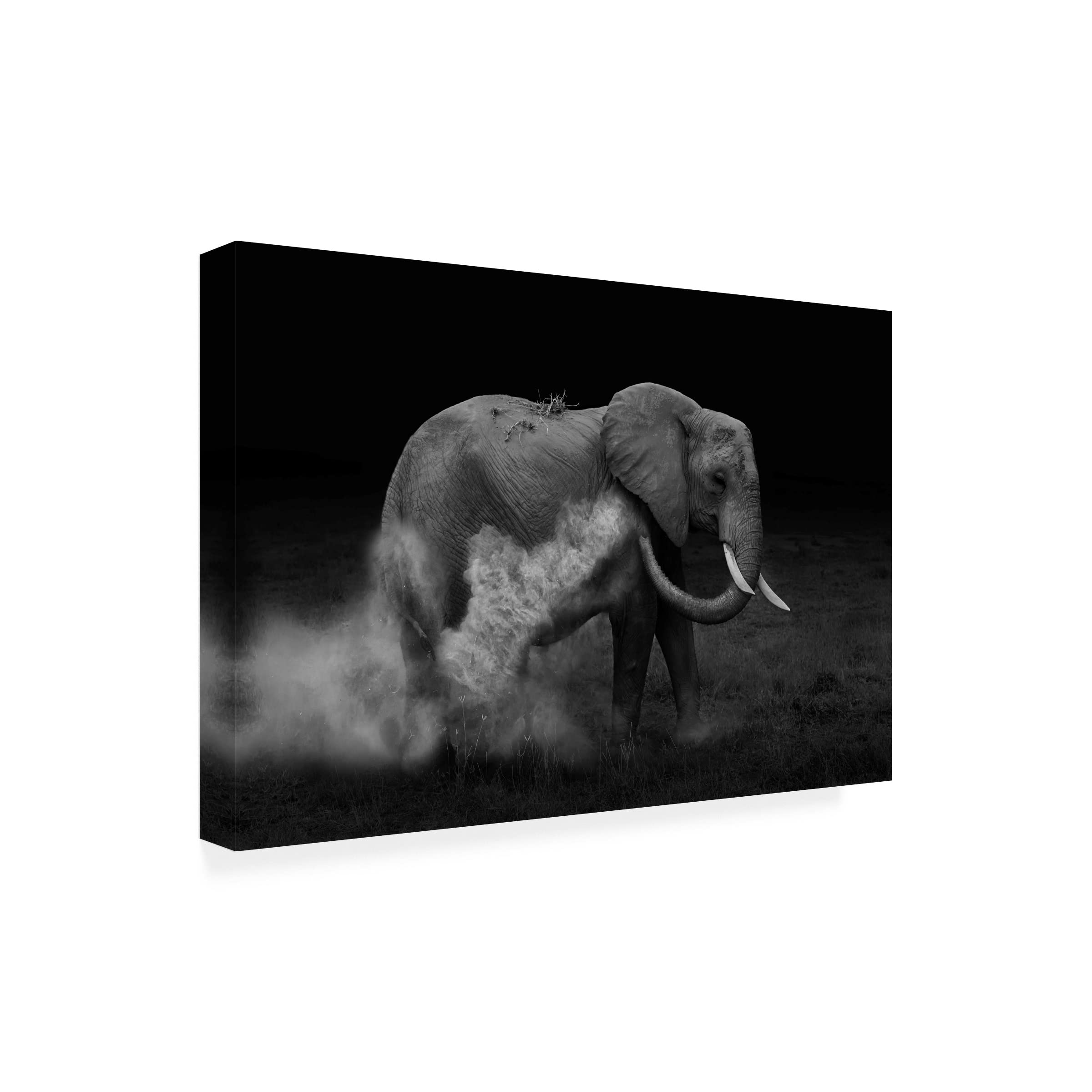 Trademark Fine Art 'Elephant Sand Bathing' Canvas Wall Art Print by Yun Wang - Perfect for Living Room, Bedroom & Office Decor