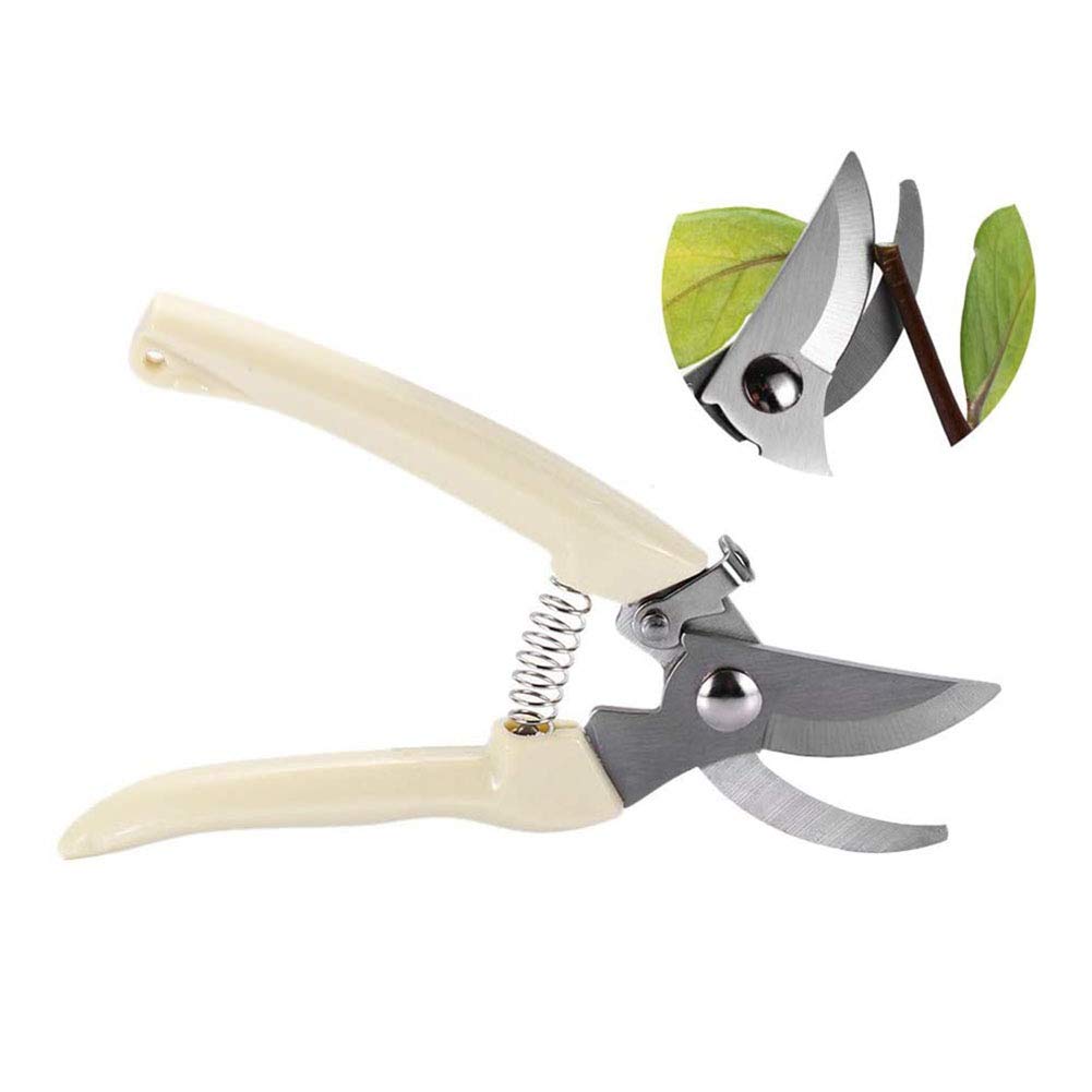 AKOAK 1 Pack Professional Gardening Scissors - Precision Trimmers for Fruit Trees, Branches, Flowers & Bonsai Plants | Ideal for Grafting, Pruning & Plant Care | Perfect for Home Gardeners & Landscaping Enthusiasts