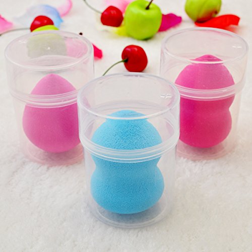 1Pc Clear Mini Storage Box for Makeup Sponge - Portable Travel Case for Puff Sponge & Beauty Tools | Perfect for Home, Travel & Salon Organization