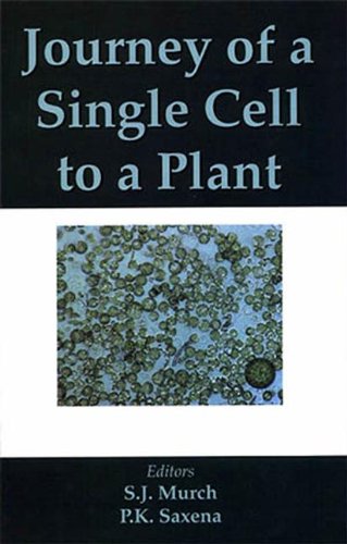 Journey of a Single Cell to a Plant - Biology Science Kit for Kids & Students - Perfect for Homeschooling, Classroom Learning & STEM Education