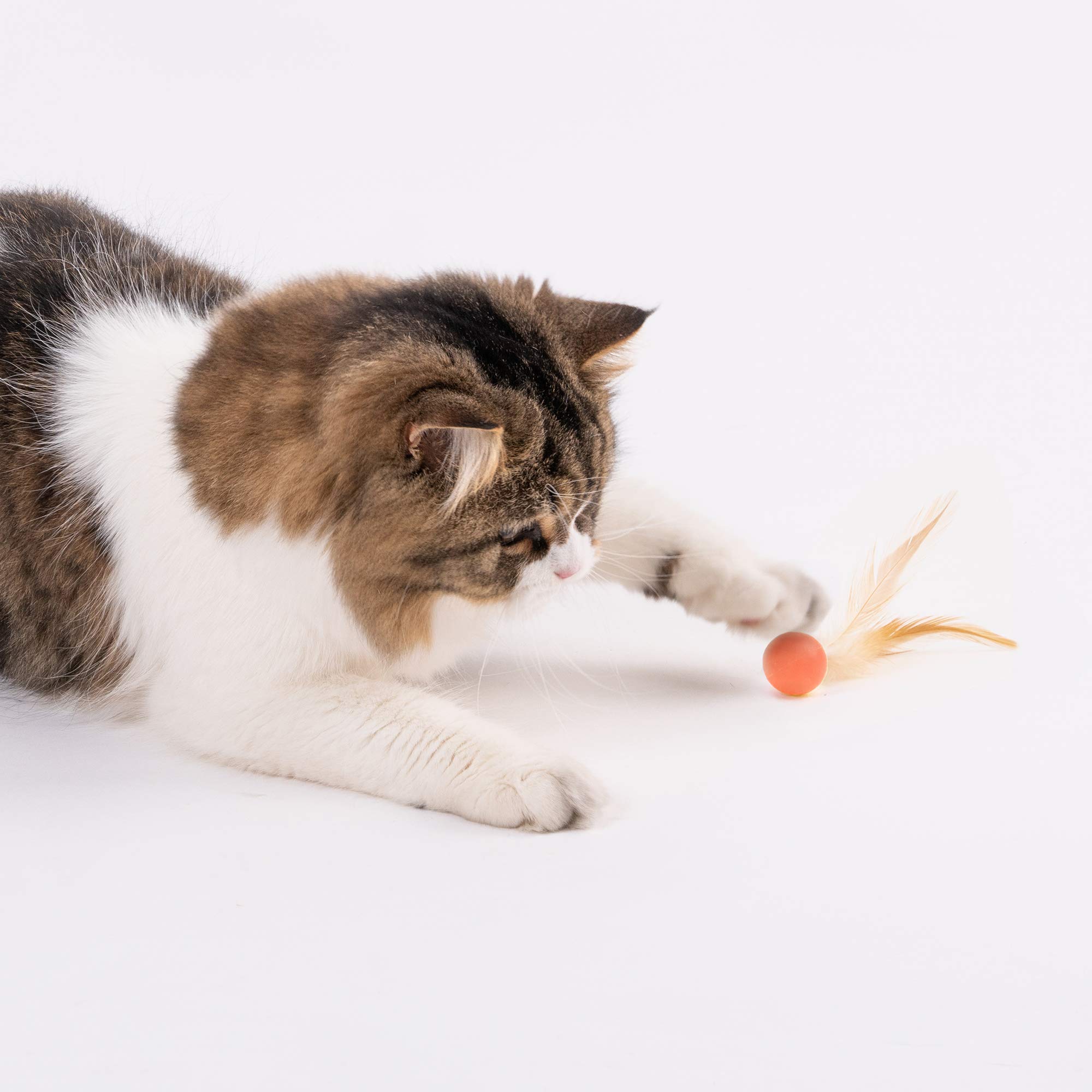 Pidan Interactive Cat Toys - 9PCS Feather & Silicone Ball Set for Indoor Cats - Stimulating Playtime for Kittens & Adult Cats - Perfect for Chasing, Bouncing & Hunting Games