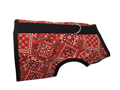 Red Bandana