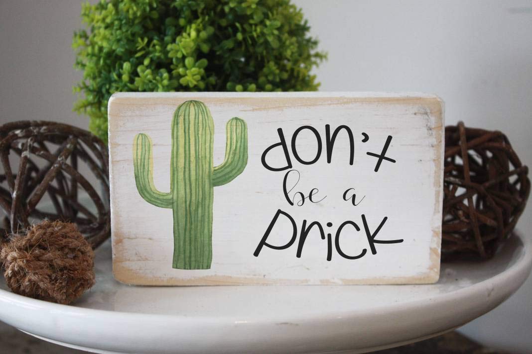 Funny Cactus Wood Sign - 'Don't Be a Prick' Quote Wall Art - Sarcastic Home & Office Decor - Cute Desk Sign for Gallery Wall - Perfect for Living Room, Bedroom or Workspace Decor