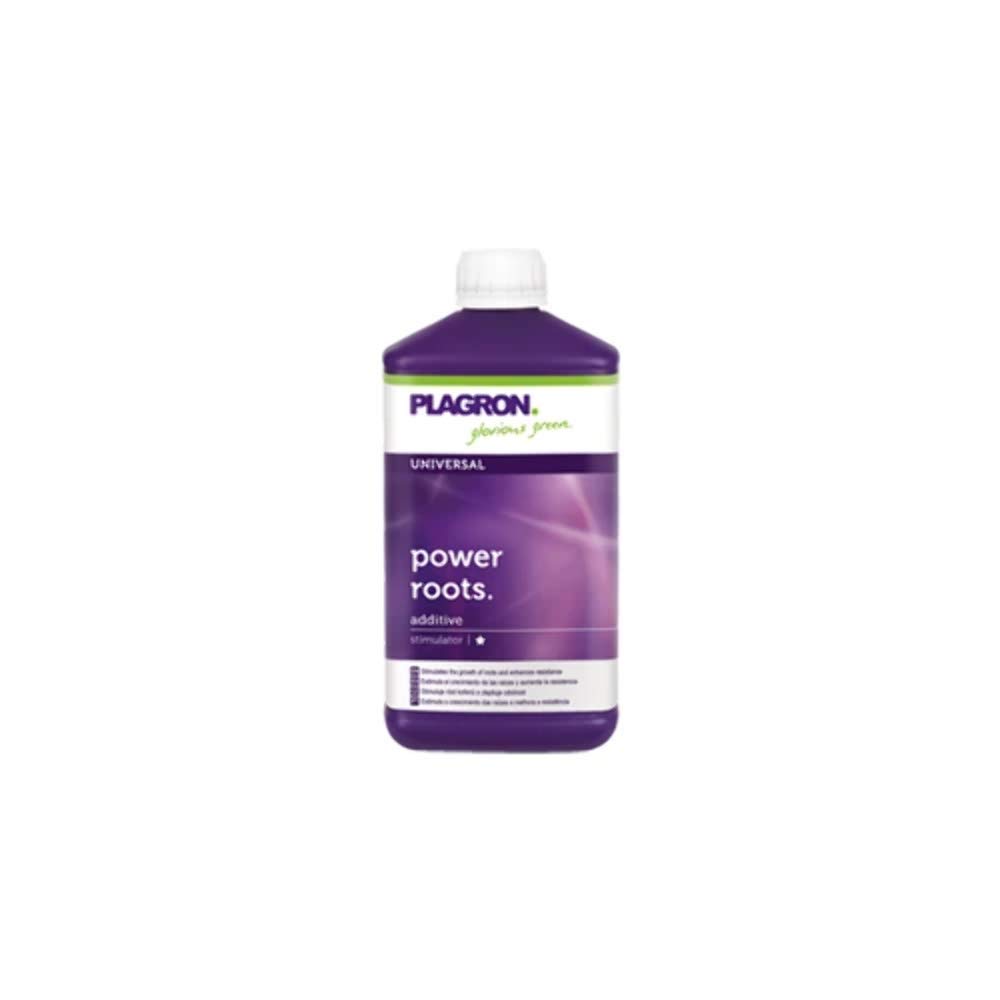 Power Roots - Premium Organic Herbal Supplements for Energy & Immunity Boost | Natural Wellness for Daily Health & Fitness Support