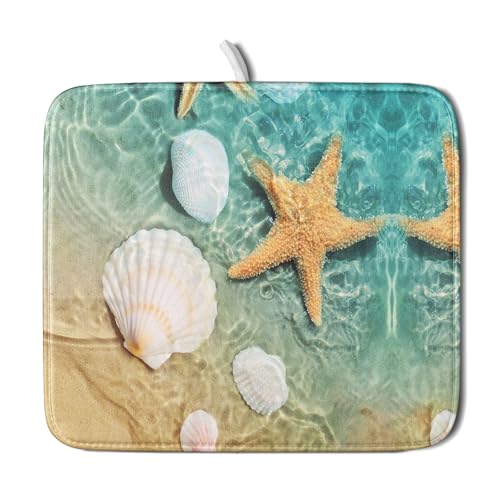 Starfish and Seashell