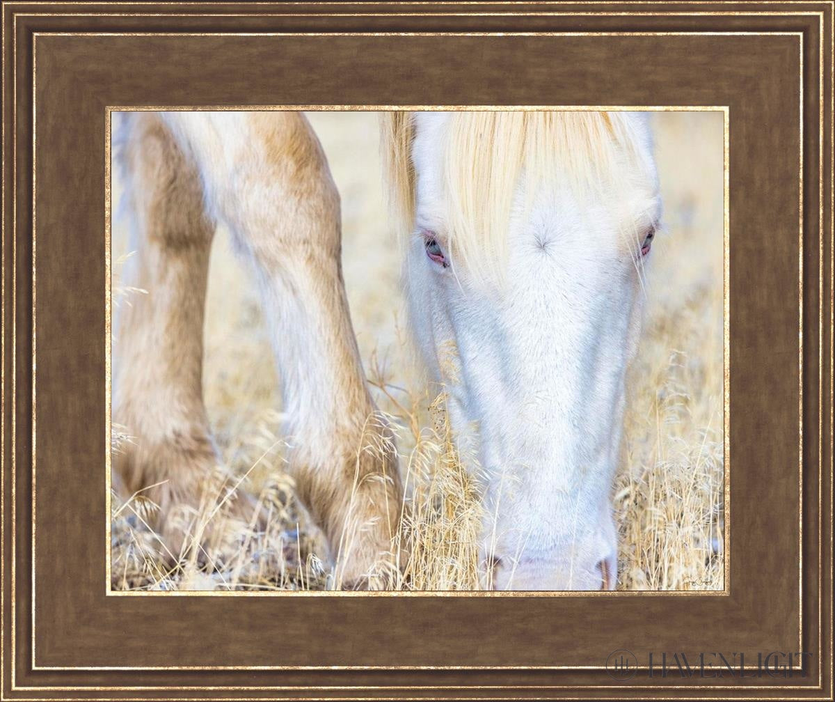 Dry Grass by Greg Sargent - Premium Handcrafted Home Decor for Rustic & Farmhouse Style - Perfect for Wall Art, Shelf Displays & Cozy Living Room Decor