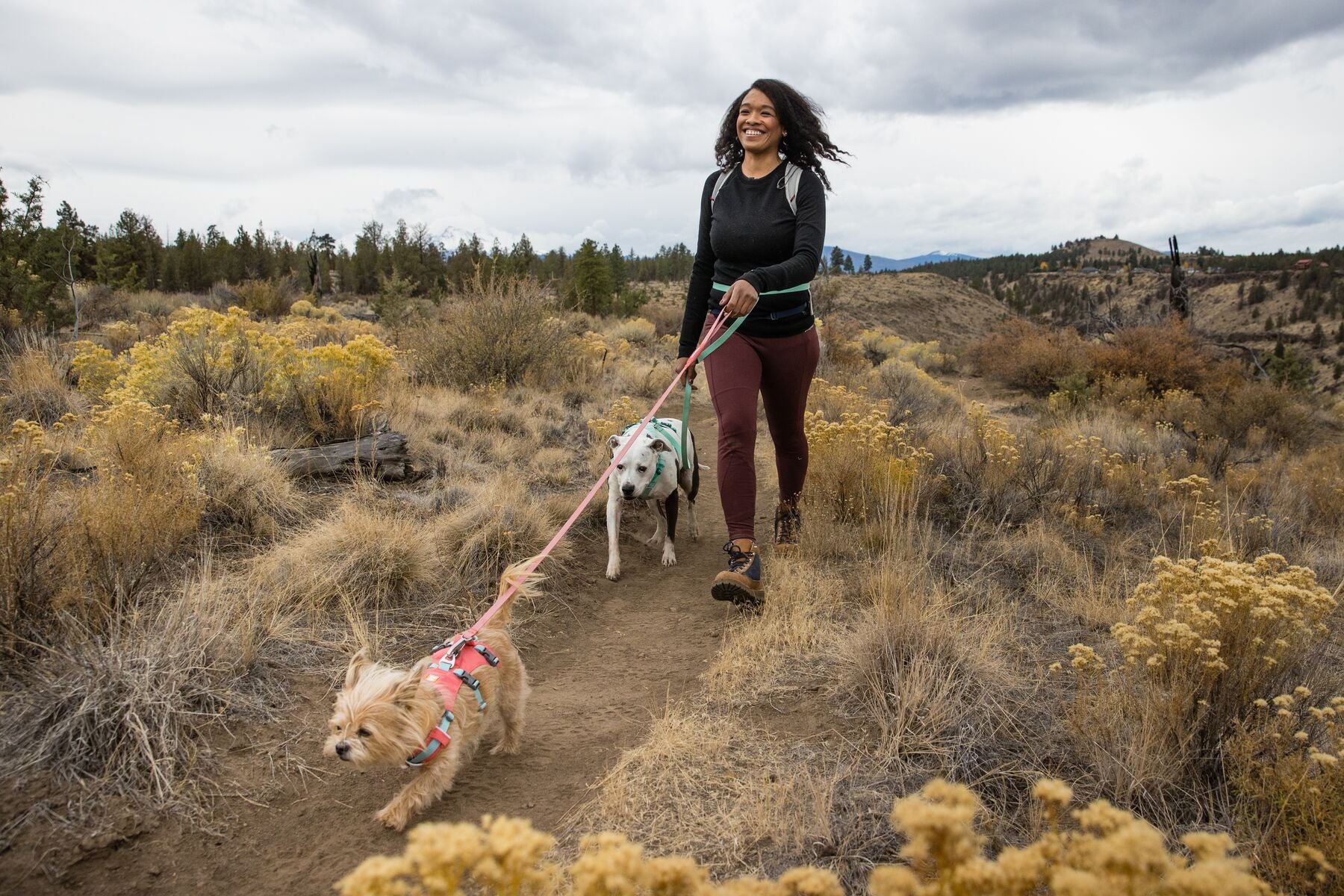 Ruffwear Flagline Multi-Use Dog Leash - Mint Green/Sage Green - Adjustable Hands-Free Bungee Dog Walking Belt for Hiking, Running & Outdoor Adventures