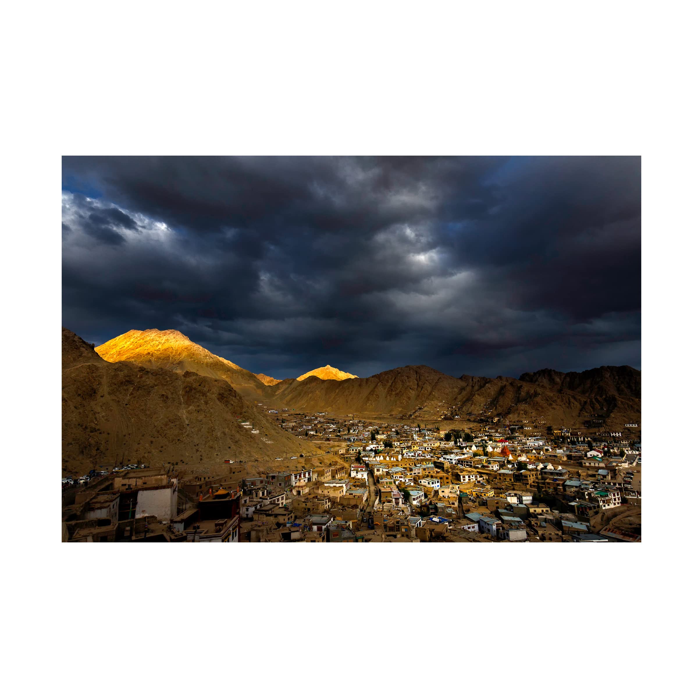 Trademark Fine Art 'Spotlight' Canvas Wall Art by Jassi Oberai - Modern Home Decor for Living Room, Bedroom & Office