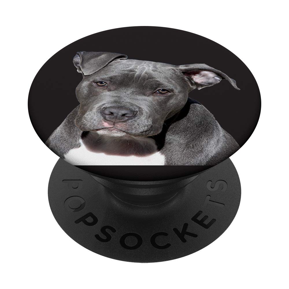 Pitbull PopSockets PopGrip: Interchangeable Phone & Tablet Grip with Swappable Top - Perfect for Selfies, Gaming, and Secure Phone Handling