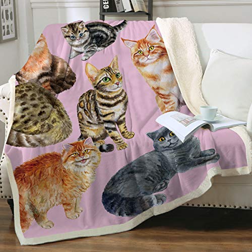 Cat Party
