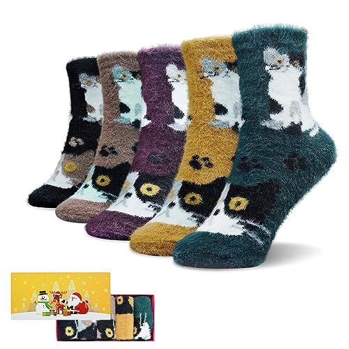 Multicolor-dm-cat