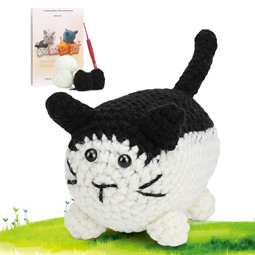 Black and White Cat