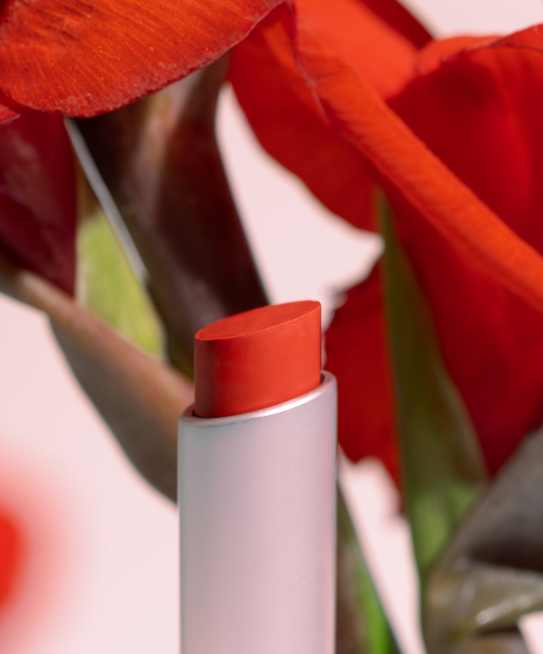Wild With Desire Long-Lasting Matte Lipstick - Vegan & Cruelty-Free Lip Color for Women - Perfect for Date Night, Parties & Everyday Wear