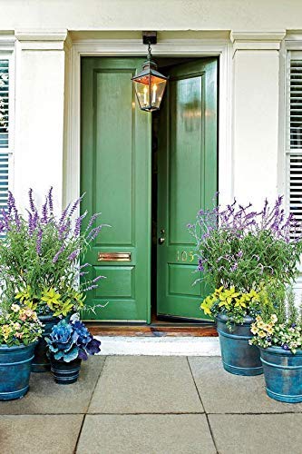 THE ONE Paint & Primer: Most Durable All-in-One Interior & Exterior Paint for Furniture, Cabinets, Doors, Walls - Fast Drying Satin Finish (Green, 1 Liter) - Perfect for Kitchen, Bathroom, Living Room & Outdoor Projects