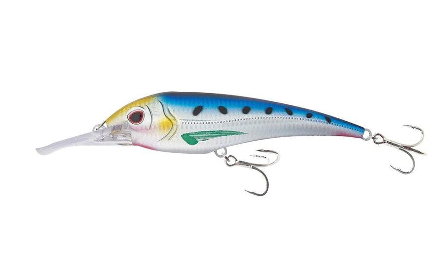 Sardine