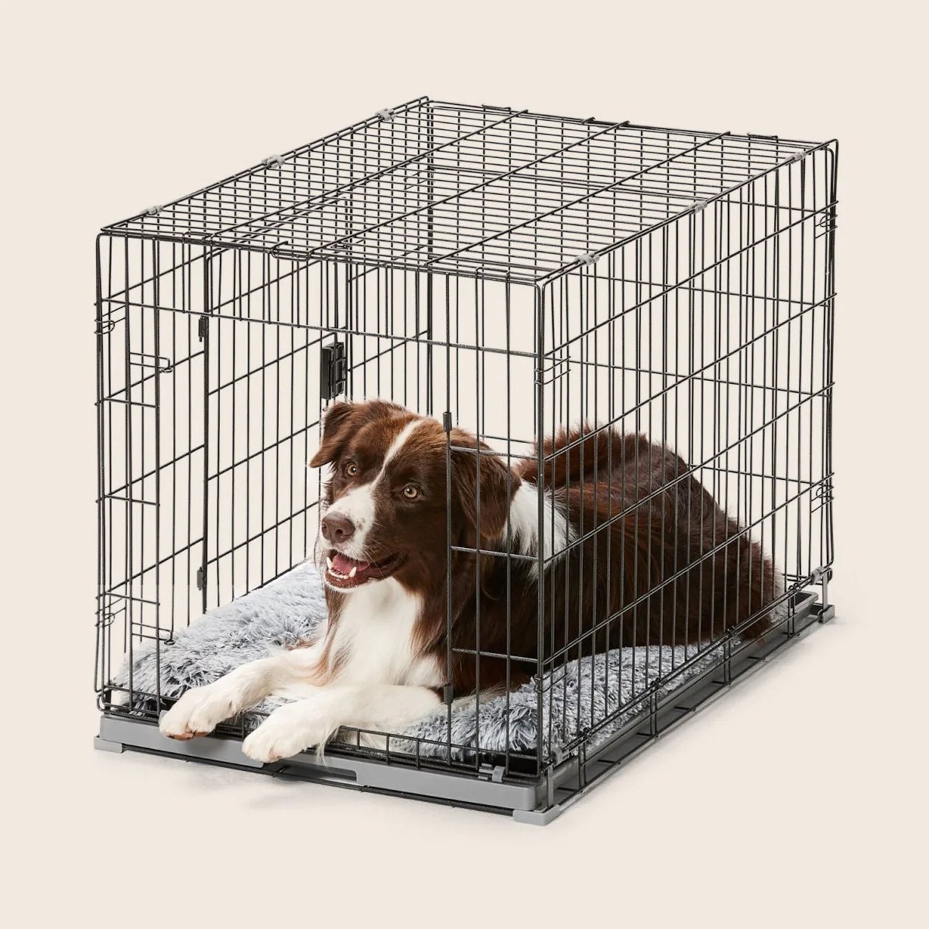 Calming Multimat for Dogs – Silver Fox Pet Anxiety Relief Mat | Perfect for Travel, Vet Visits & Home Comfort