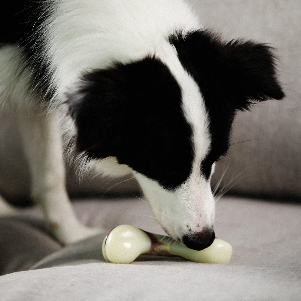 Durable TIKATON Bacon Flavor Dog Chew Toys for Aggressive Chewers - Teething Bones for Large, Medium & Small Puppies - Perfect for Training, Anxiety Relief & Dental Health