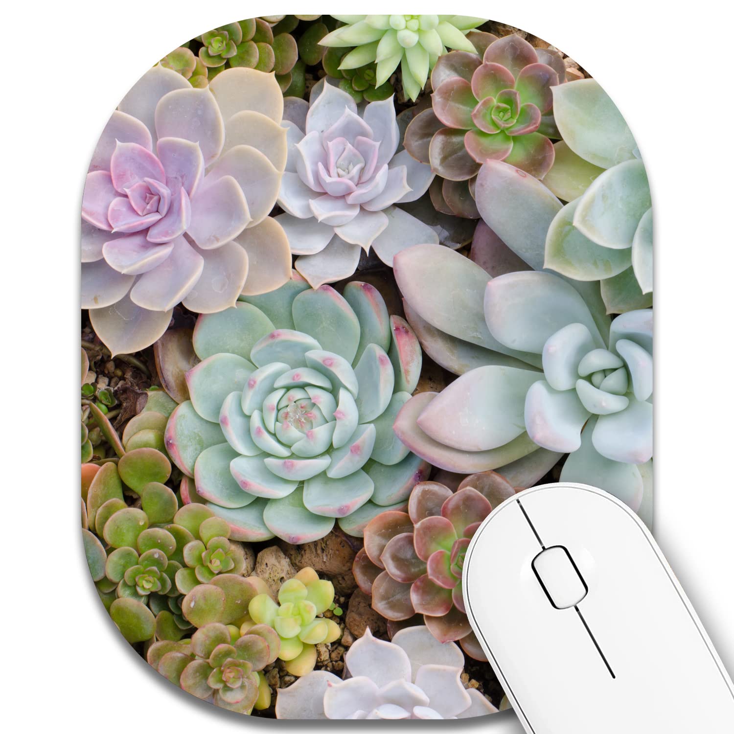 6 x 7 Inch Small Mouse Pad for Laptop - Non-Slip Rubber Base, Waterproof Mouse Mat with Succulent Design - Perfect for Office, Home & Travel Use with Wireless Mouse