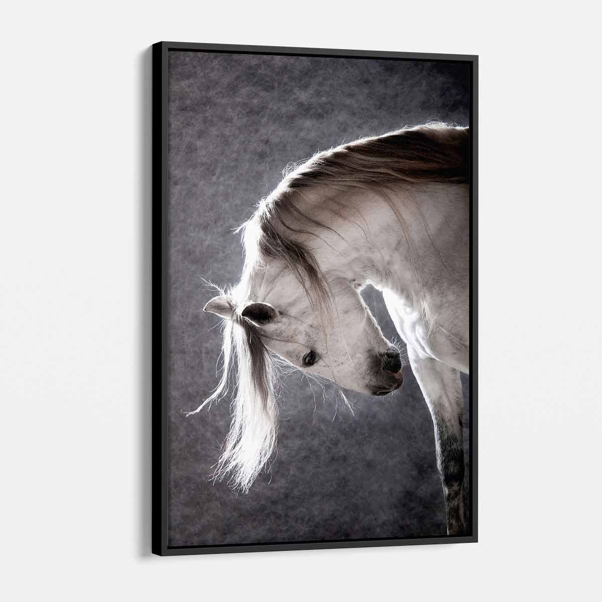 Grey Horse Wall Art Canvas Print - Modern Home Decor for Living Room, Bedroom & Office - 7042