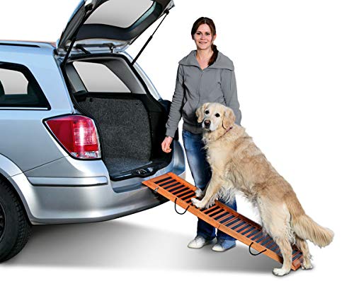 Foldable Dog Ramp for Small to Medium Dogs - 47