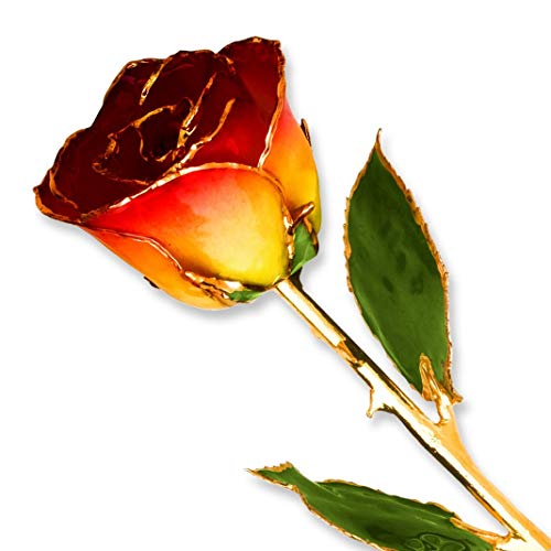 Yellow Red
