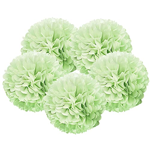 5x -Light Green