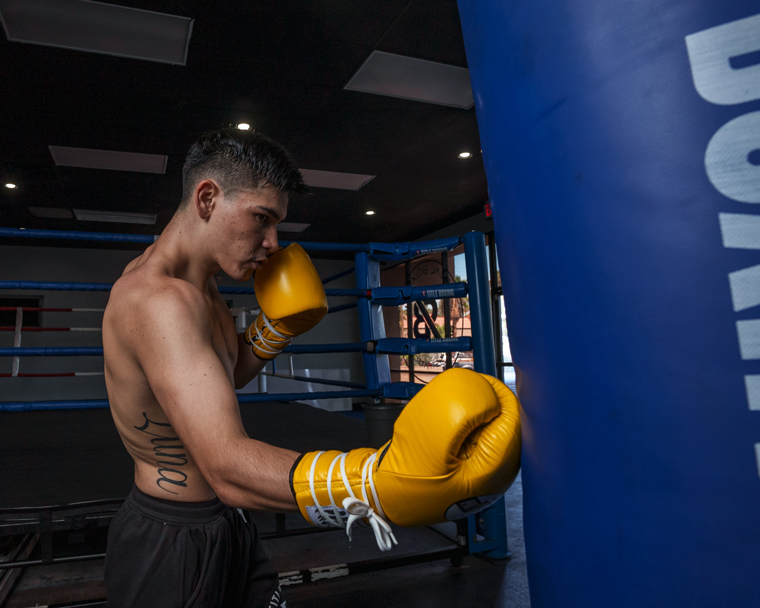 Pro Mex Professional Lace-Up Sparring Boxing Gloves V3.0 - Premium Training Gloves for MMA, Kickboxing & Muay Thai - Ideal for Competition, Gym Workouts & Martial Arts Practice