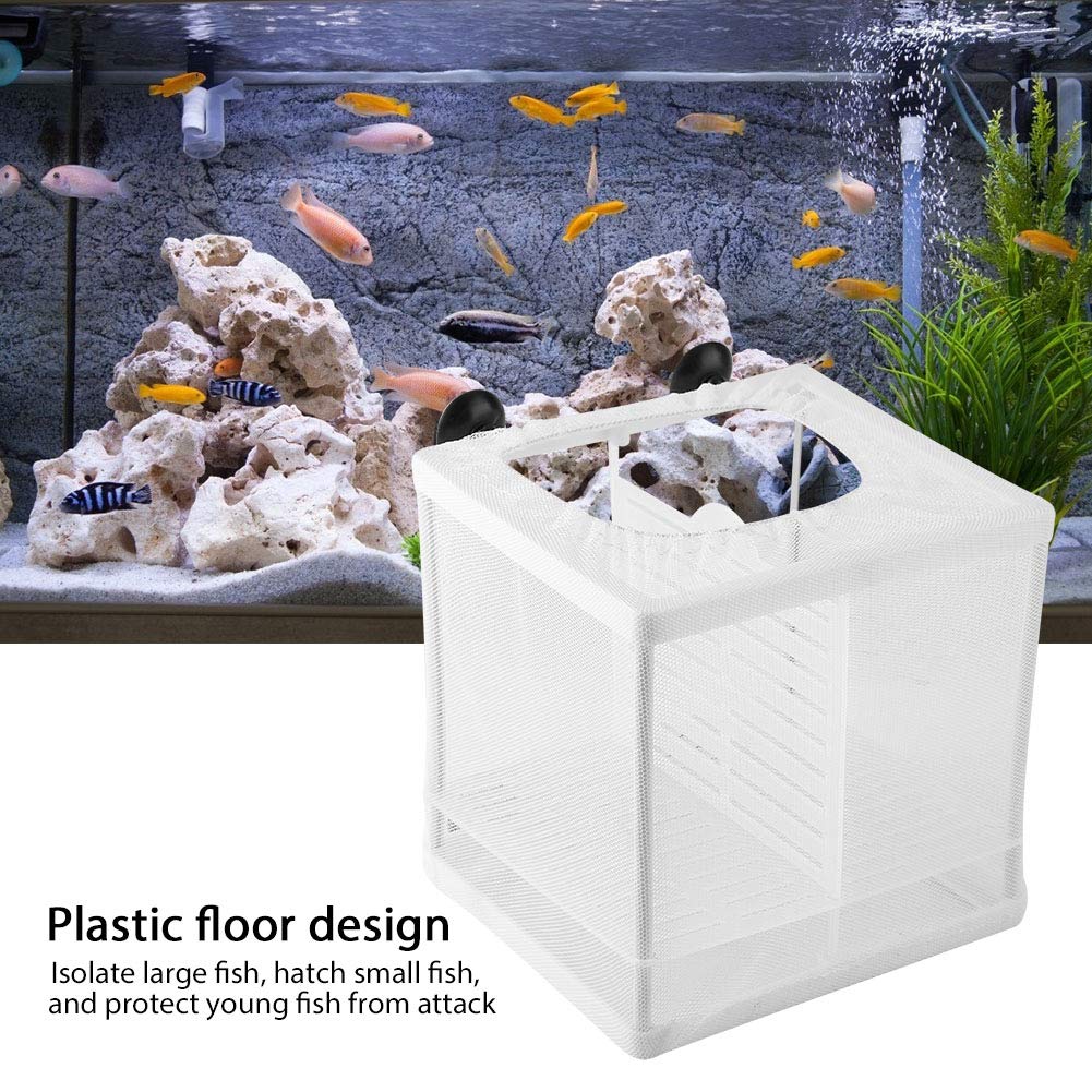 EVTSCAN Fish Breeding Box - Plastic Aquarium Hatchery & Breeder Box with Isolation Mesh for Safe Fish Breeding | Ideal for Guppy, Betta, and Goldfish in Home Aquariums