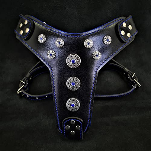 Black & Blue