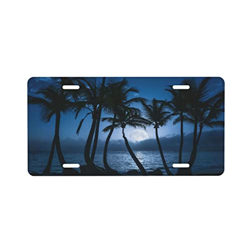 Tropical Beach Palm Tree